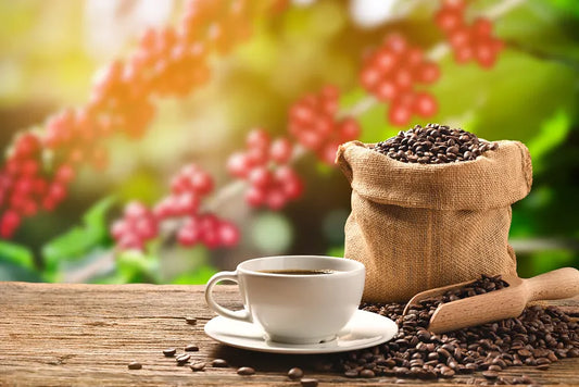 Coffee sack with beans spilling out, accompanied by a coffee cup and scattered coffee beans.