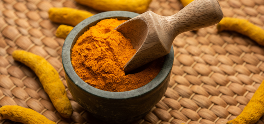 Whole turmeric powder surrounded by fresh turmeric roots, showcasing natural purity and quality.